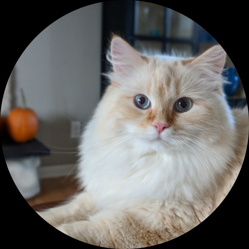 Meet your Posher, Francine